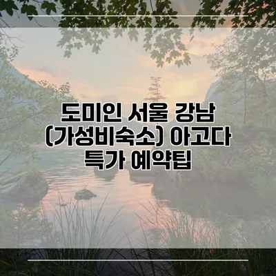 도미인 서울 강남 (가성비숙소) 아고다 특가 예약팁