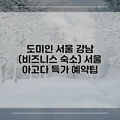 도미인 서울 강남 (비즈니스 숙소) 서울 아고다 특가 예약팁