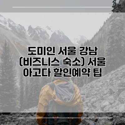 도미인 서울 강남 (비즈니스 숙소) 서울 아고다 할인예약 팁