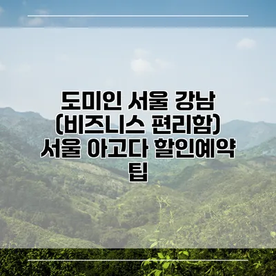 도미인 서울 강남 (비즈니스 편리함) 서울 아고다 할인예약 팁