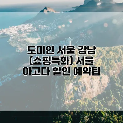 도미인 서울 강남 (쇼핑특화) 서울 아고다 할인 예약팁