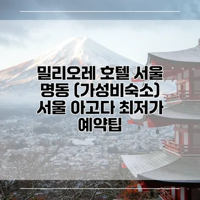 밀리오레 호텔 서울 명동 (가성비숙소) 서울 아고다 최저가 예약팁