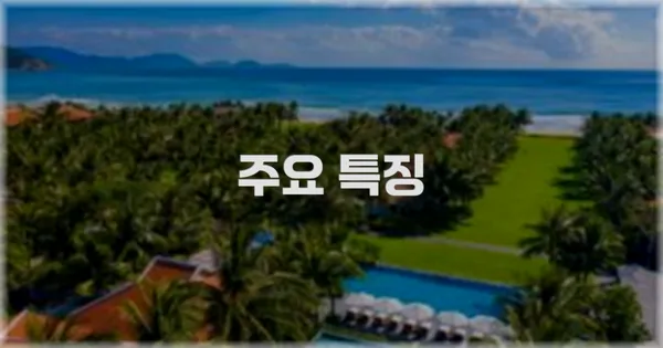 ✨ 주요 특징
