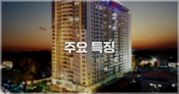 ✨ 주요 특징