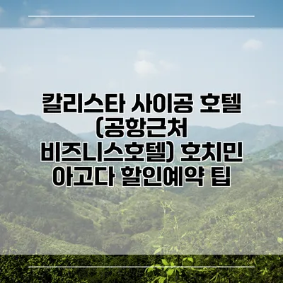 칼리스타 사이공 호텔 (공항근처 비즈니스호텔) 호치민 아고다 할인예약 팁