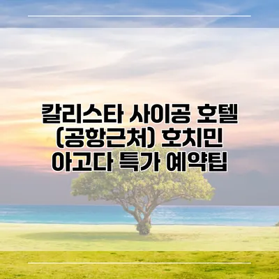 칼리스타 사이공 호텔 (공항근처) 호치민 아고다 특가 예약팁