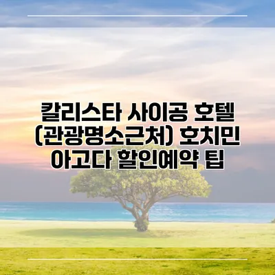 칼리스타 사이공 호텔 (관광명소근처) 호치민 아고다 할인예약 팁