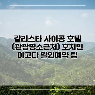 칼리스타 사이공 호텔 (관광명소근처) 호치민 아고다 할인예약 팁