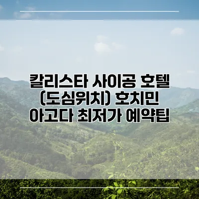 칼리스타 사이공 호텔 (도심위치) 호치민 아고다 최저가 예약팁