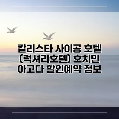 칼리스타 사이공 호텔 (럭셔리호텔) 호치민 아고다 할인예약 정보
