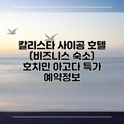 칼리스타 사이공 호텔 (비즈니스 숙소) 호치민 아고다 특가 예약정보
