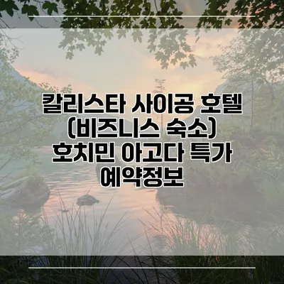 칼리스타 사이공 호텔 (비즈니스 숙소) 호치민 아고다 특가 예약정보