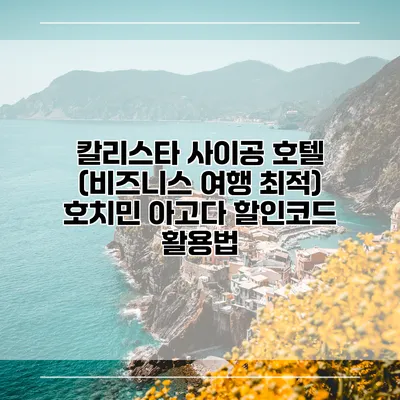 칼리스타 사이공 호텔 (비즈니스 여행 최적) 호치민 아고다 할인코드 활용법