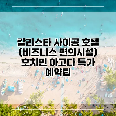 칼리스타 사이공 호텔 (비즈니스 편의시설) 호치민 아고다 특가 예약팁