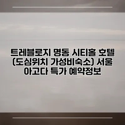트레블로지 명동 시티홀 호텔 (도심위치 가성비숙소) 서울 아고다 특가 예약정보