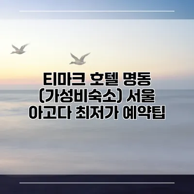 티마크 호텔 명동 (가성비숙소) 서울 아고다 최저가 예약팁