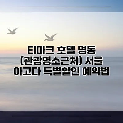 티마크 호텔 명동 (관광명소근처) 서울 아고다 특별할인 예약법