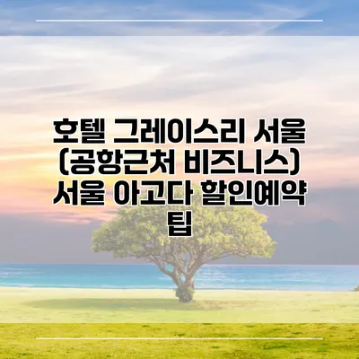 호텔 그레이스리 서울 (공항근처 비즈니스) 서울 아고다 할인예약 팁