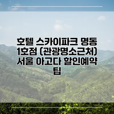 호텔 스카이파크 명동 1호점 (관광명소근처) 서울 아고다 할인예약 팁