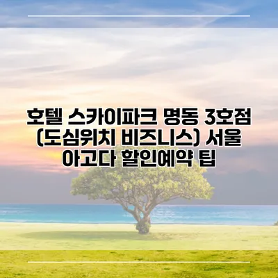 호텔 스카이파크 명동 3호점 (도심위치 비즈니스) 서울 아고다 할인예약 팁