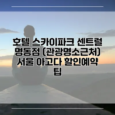 호텔 스카이파크 센트럴 명동점 (관광명소근처) 서울 아고다 할인예약 팁