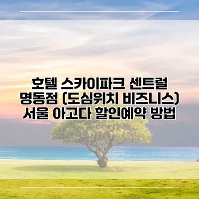 호텔 스카이파크 센트럴 명동점 (도심위치 비즈니스) 서울 아고다 할인예약 방법